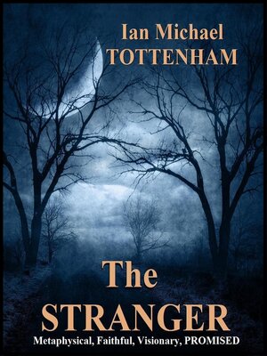 cover image of THE STRANGER